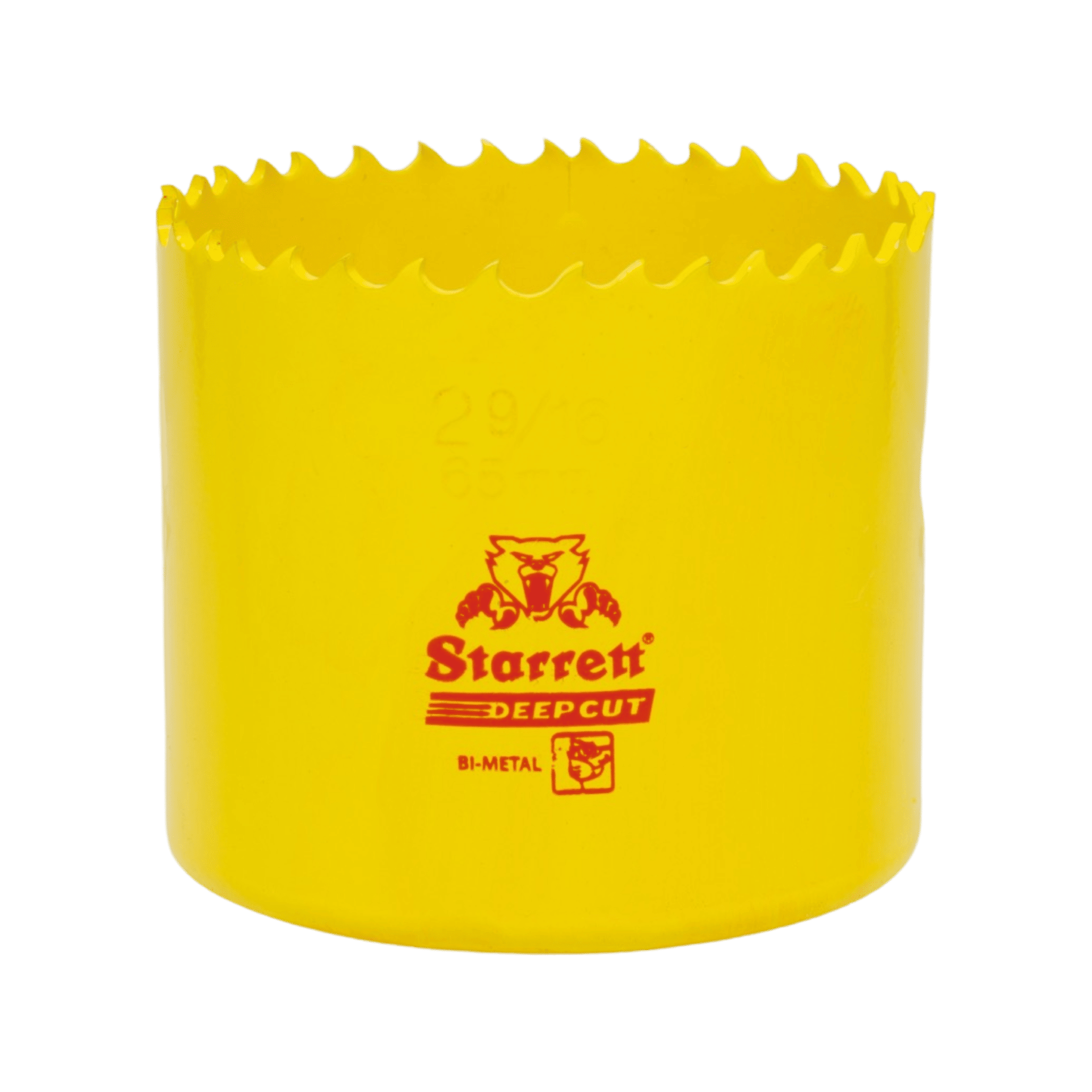 DCH0296 (65mm) DCH0296 (65mm)